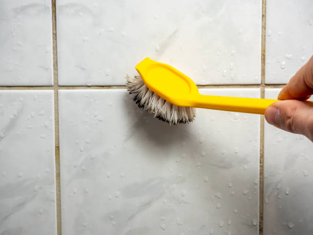 Best Home Mold Removal  in Hayesville, OR
