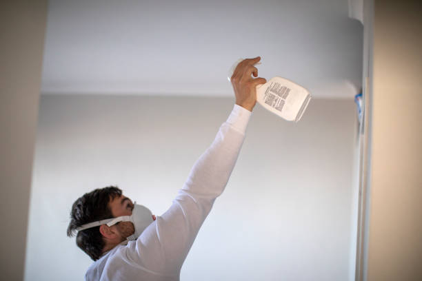  Hayesville, OR Mold Removal Pros