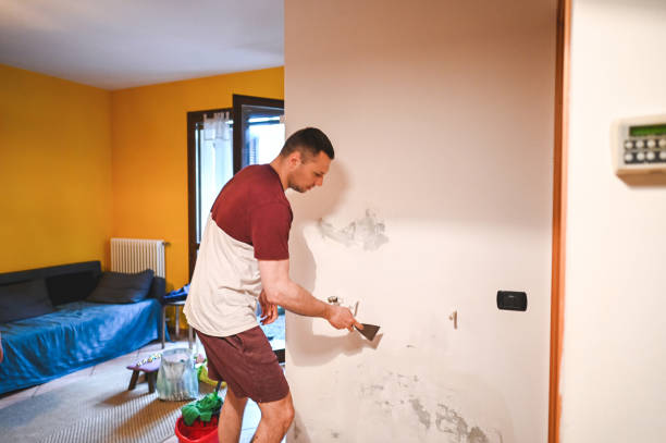 Best Mold Remediation  in Hayesville, OR
